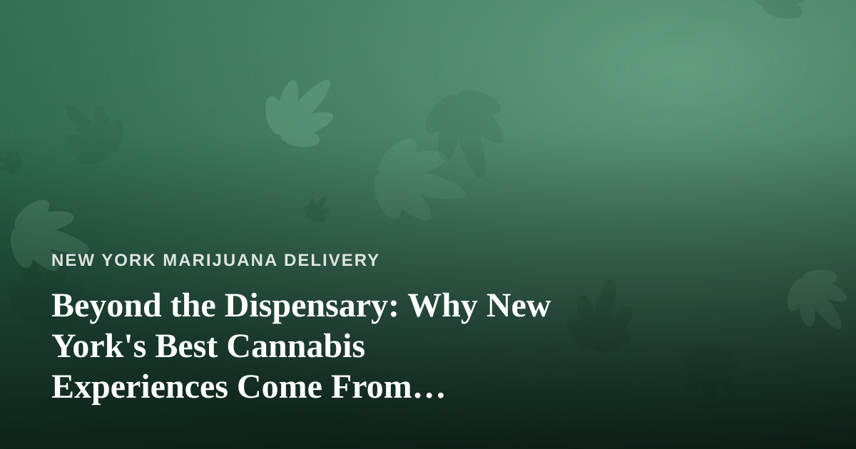 Beyond the Dispensary: Why New York’s Best Cannabis Experiences Come From Independent Local Guides