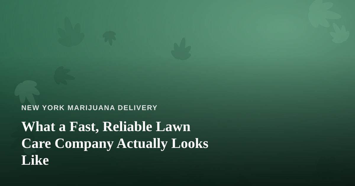 What a Fast, Reliable Lawn Care Company Actually Looks Like